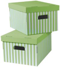 Set of 2 Stripy Cardboard Storage Boxes - Green/White