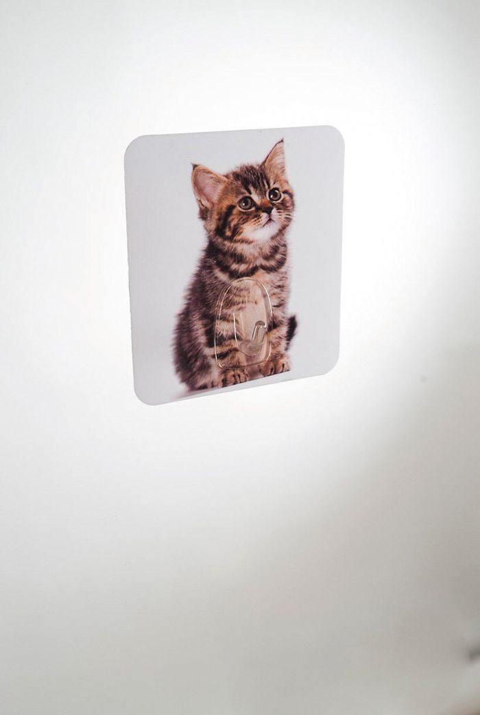 Cat "Magic Hook" Self Adhesive Storage Hook 2 Compactor