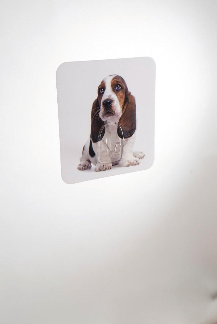 Dog "Magic Hook" Self Adhesive Storage Hook 2 Compactor