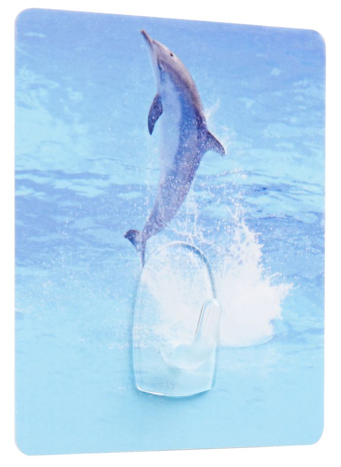 Dolphin "Magic Hook" Self Adhesive Storage Hook 1 Compactor