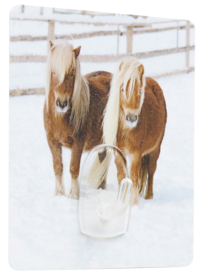 Pony "Magic Hook" Self Adhesive Storage Hook 1 Compactor