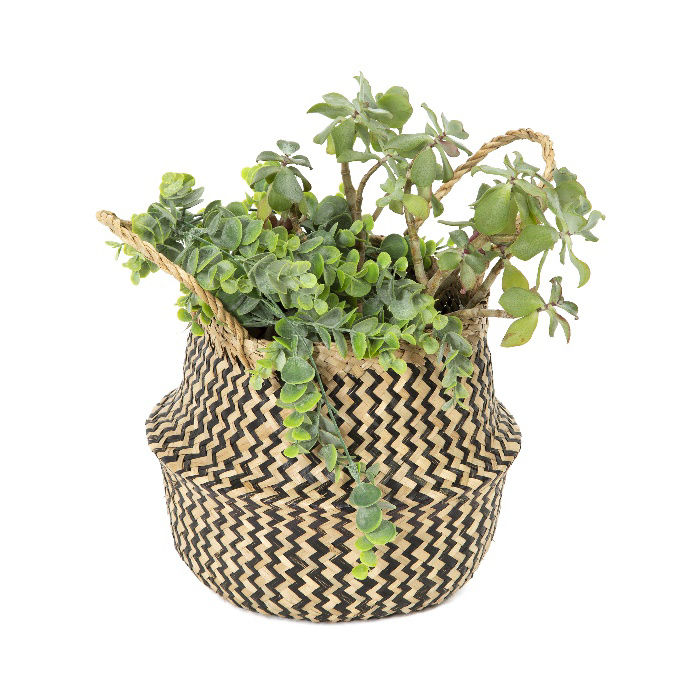 "Belly" Small Woven Seagrass Storage Basket - Natural/Black 5 Compactor
