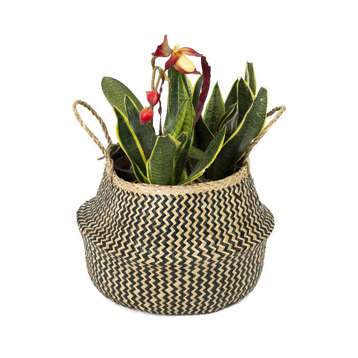 "Belly" Medium Woven Seagrass Storage Basket - Natural/Black 5 Compactor