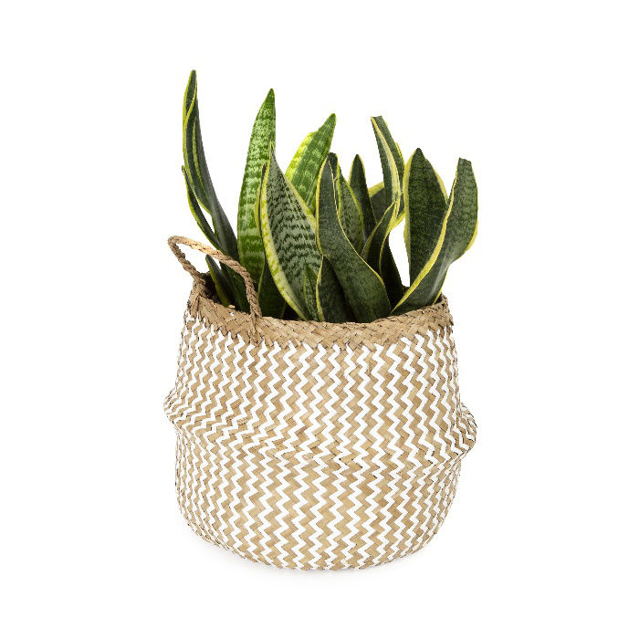 "Belly" Small Woven Seagrass Storage Basket - White 5 Compactor