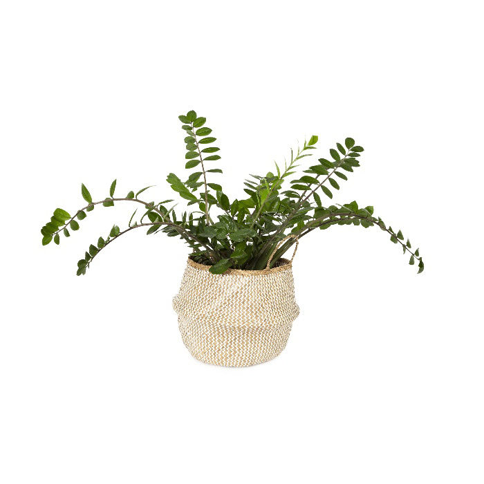 "Belly" Large Woven seagrass storage basket - White 5 Compactor