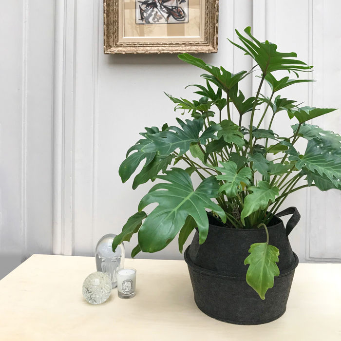 Small "Belly" storage basket in felt  3 Compactor