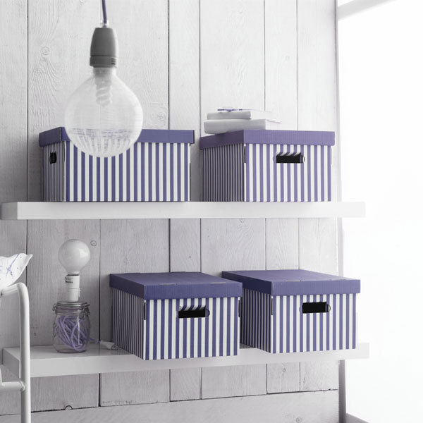 Set of 2 Cardboard "Shirt" Boxes - Plum