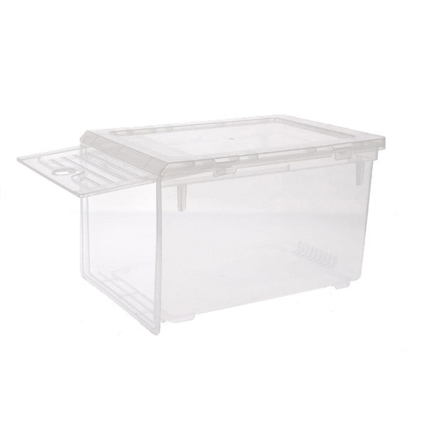 Transparent shoe storage box