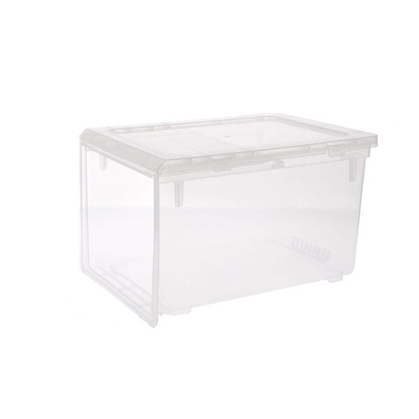 Transparent shoe storage box