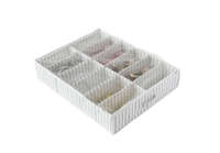 Anton Under Bed Shoe Storage Bag with 12 Compartments