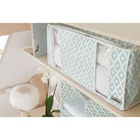 Compactor Daman Vacuum Storage Trunk and Tote Set