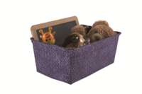 "Kito" Seagrass Storage Basket - Violet