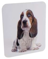 Dog "Magic Hook" Self Adhesive Storage Hook