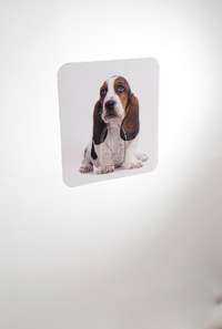 Dog "Magic Hook" Self Adhesive Storage Hook