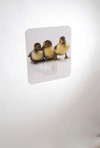 Duck "Magic Hook" Self Adhesive Storage Hook