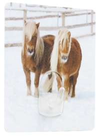 Pony "Magic Hook" Self Adhesive Storage Hook