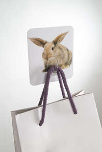 Rabbit "Magic Hook" Self Adhesive Storage Hook