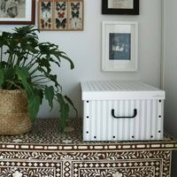 "Nordic" cardboard grey box Anton