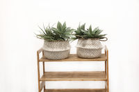 "Belly" Small Woven Seagrass Storage Basket - White