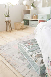 Daman Under Bed Shoe Storage Bag with 12 Compartments