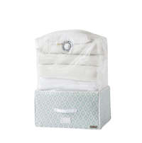 Compactor Daman Vacuum Storage Trunk and Tote Set