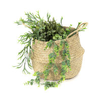 "Belly" Medium Woven Seagrass Storage Basket-Natural