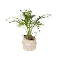 "Belly" Medium Woven seagrass storage basket - White