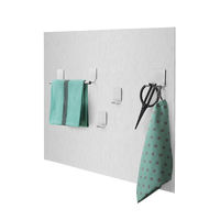 Kitchen Wall Splashback with Magnetic Storage Accessories