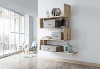 Set of 2 Compactor 2.0 Vacuum Storage Trunks - XL