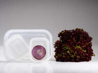 Set of 4 Aspi Fresh Rectangle Vacuum Food Storage Containers with Pump