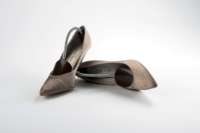 1 Pair of "Smart" Shoe Trees