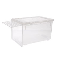 Transparent shoe storage box