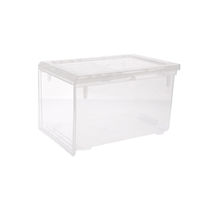 Transparent shoe storage box